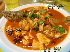-煲来饱去冷水鱼