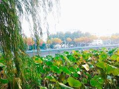 -风云面馆(珠海路店)