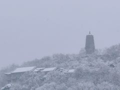 -高尔山公园