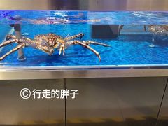-盒马X会员店(王府井奥莱UP TOWN店)