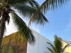 -三亚亚龙湾美高梅度假酒店FUN动冲浪