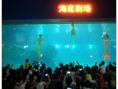 美人鱼-福州罗源湾海洋世界旅游区