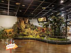 -陕西自然博物馆