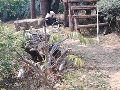 -南宁市动物园