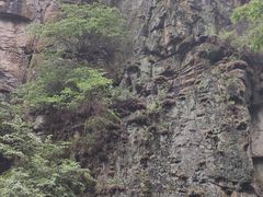 -茅兰沟国家森林公园