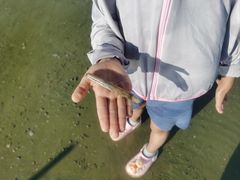 -红树林天天赶海