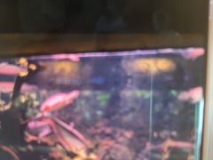 -西安华夏文旅水世界