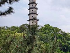-江心屿景区