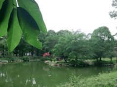 -秀丽东方
