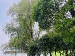 -西太湖揽月湾