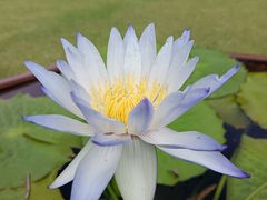 -云溪植物园