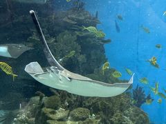 -福州罗源湾海洋世界旅游区