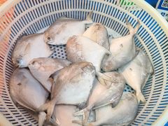 -西湖文化广场