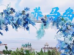 -养马岛旅游度假区