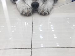 -乖乖乐动物医院(小汤山分院)