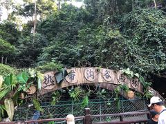 -西双版纳原始森林公园