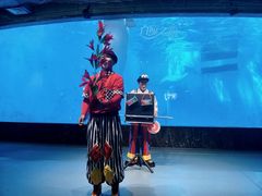 -海合安成都极地海洋公园