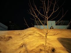 -北海道厅旧本厅舍(旧本庁舎)