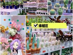 -KKV(深圳宏发大仟里店)