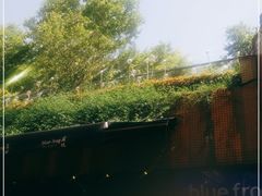 -bluefrog蓝蛙(水游城店)