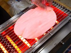 -内涵饵块