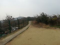 -峙山公园