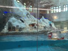 -帝企鹅自助餐厅•儿童岛•真企鹅(长隆企鹅酒店)