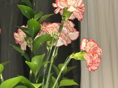 -春暖花开(西溪店)