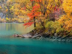 -叠溪松坪沟景区