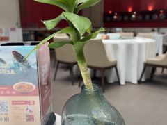 -旺顺阁·北京菜·烤鸭(魏公村店)