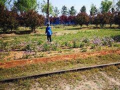 -永定河休闲森林公园