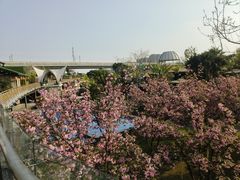 -茅草房·河畔园林火锅