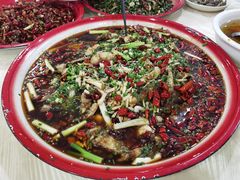 -东吴霸王兔(松青路店)