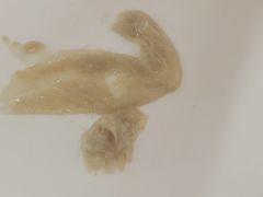 -江三王记牛杂馆(总店)