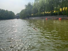-南翠屏公园