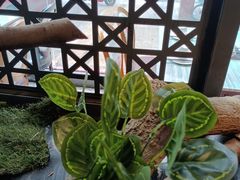 -湘当爱·鲜煮现炒(松岗立业路店)