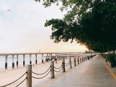 -演武大桥观景平台