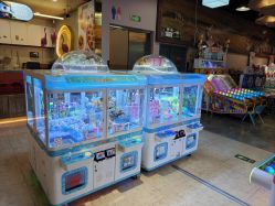 -卡通尼·Safari非洲探索乐园·生日会(金桥国际商业广场店)