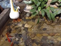 -阿嫂印象·民间江湖菜(大学城店)