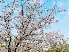 -苏州上方山国家森林公园