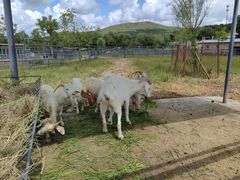 -哈尔滨北方森林动物园