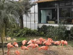 -无锡动物园·太湖欢乐园