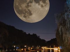 -南长河公园
