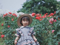 -大塘金香草谷