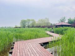 -永定河休闲森林公园