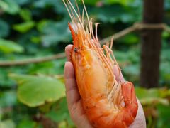 -七的湖·晚芳亭·阳澄湖农家菜·大闸蟹(莲花岛店)