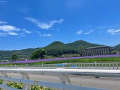 -舟山希尔顿酒店