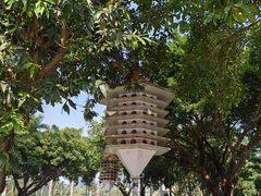 -顺峰山公园