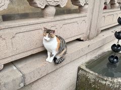 -西园戒幢律寺