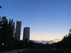 -大望京公园